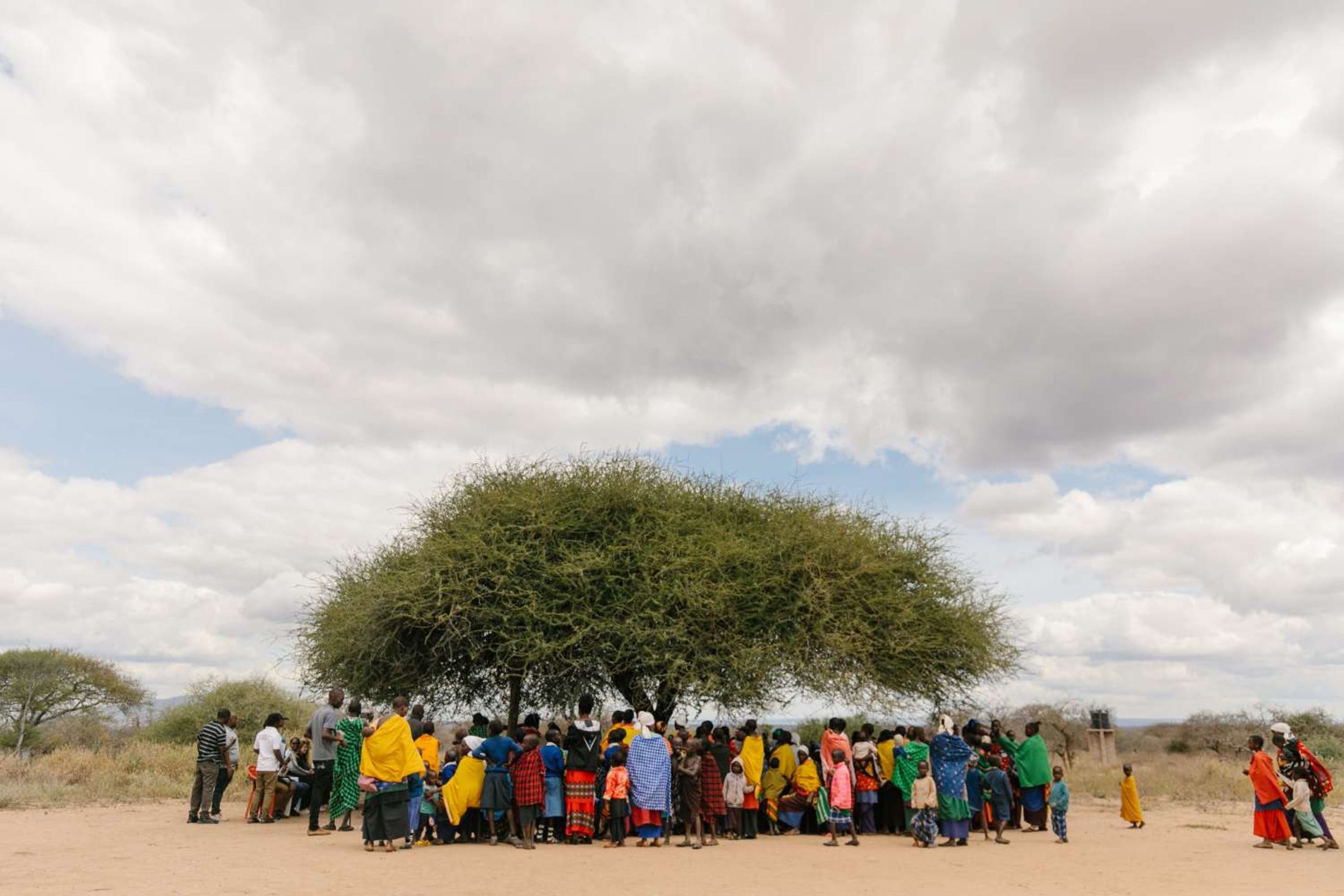 World Vision