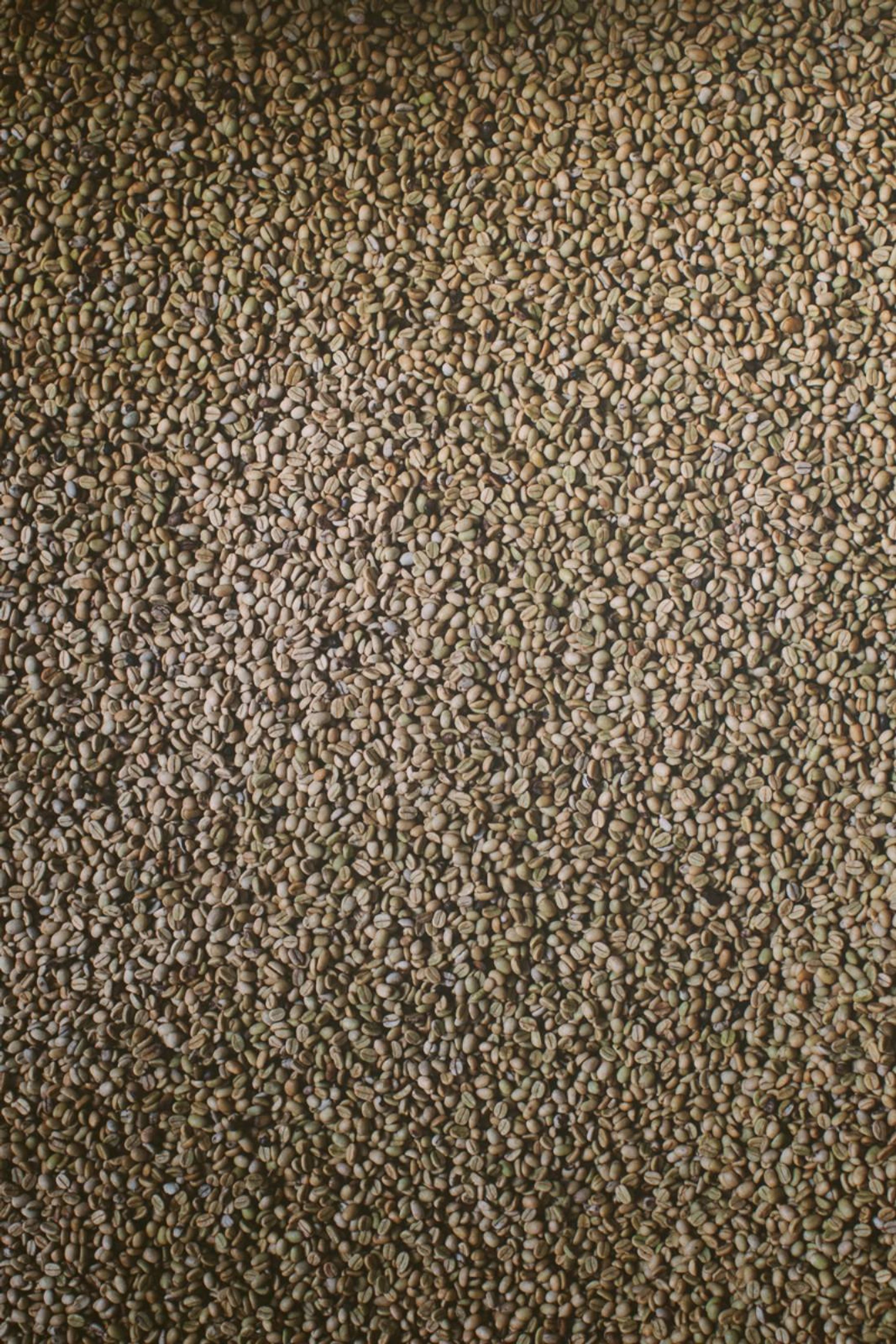 Phoenix Roasters