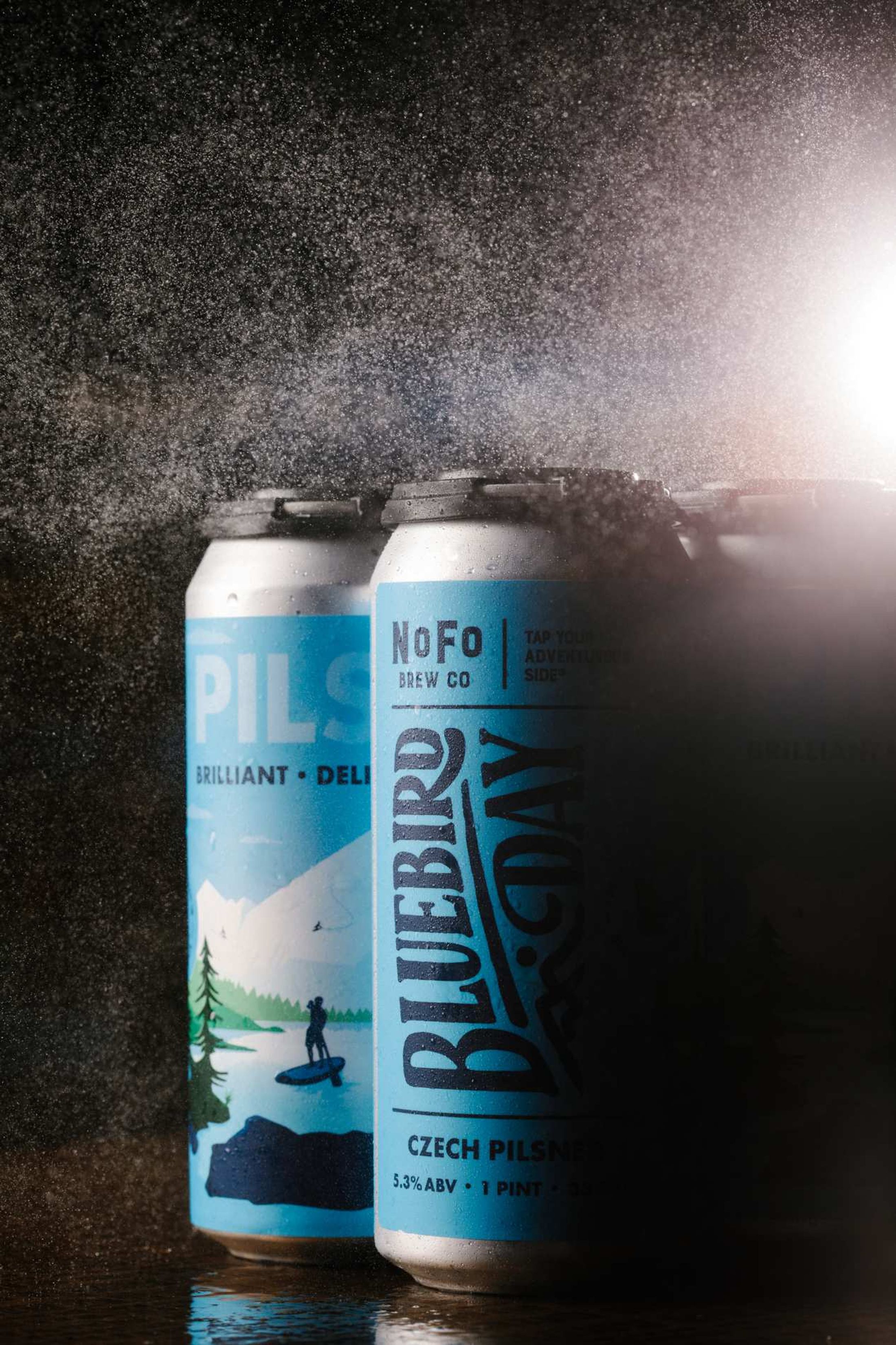 NoFo Brew Co