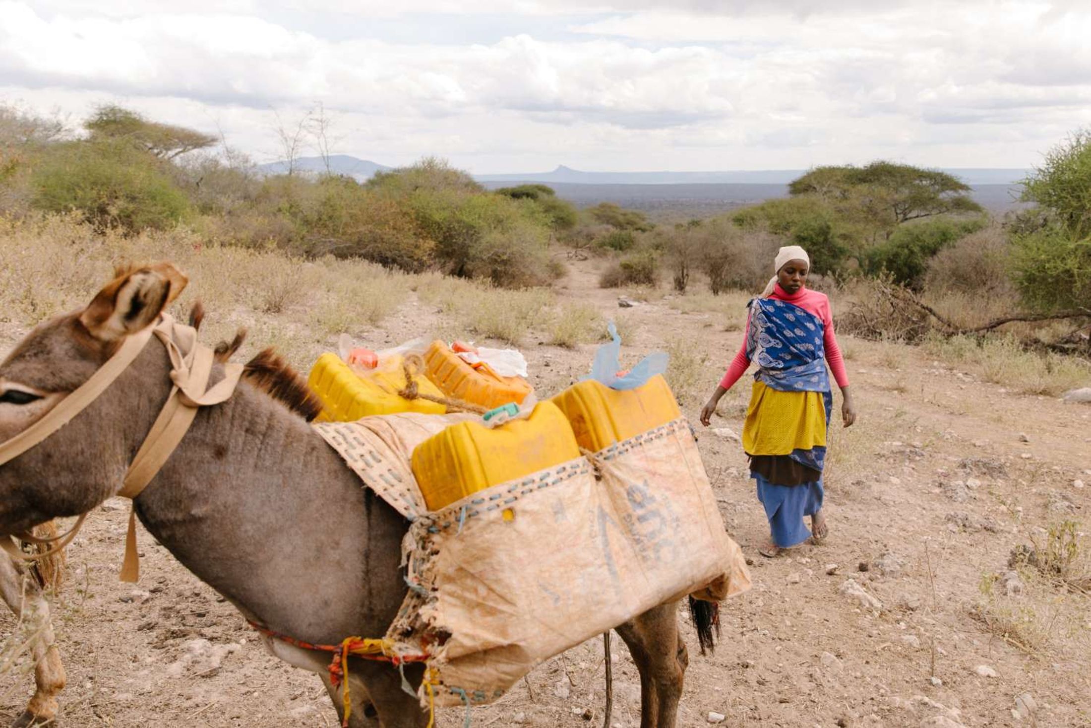 World Vision