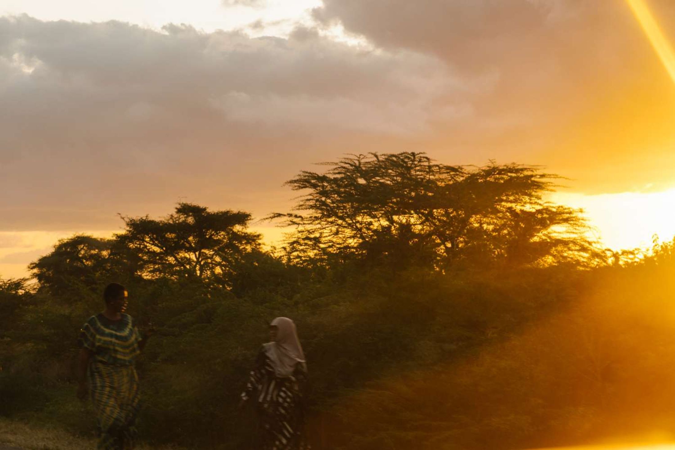 World Vision