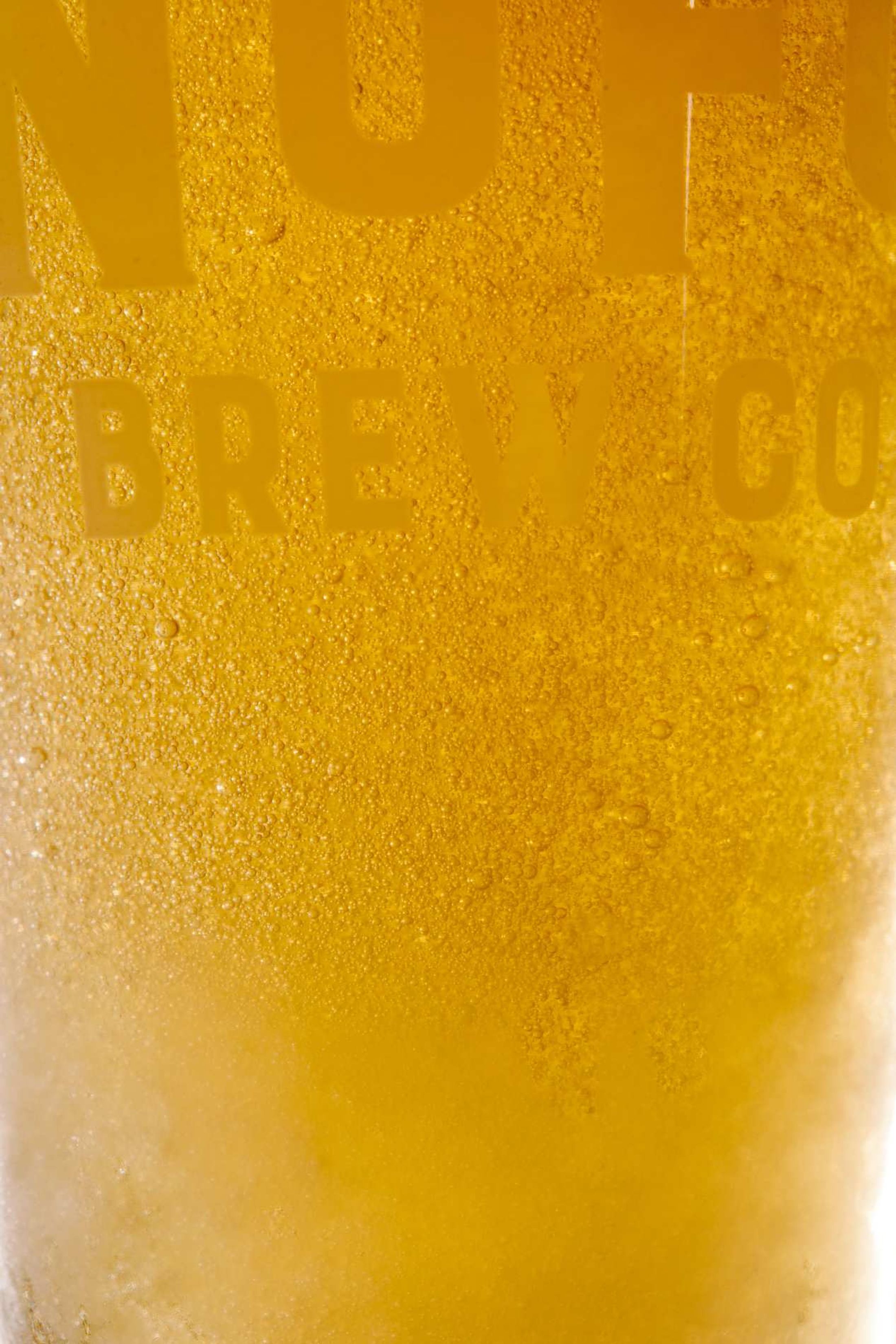 NoFo Brew Co