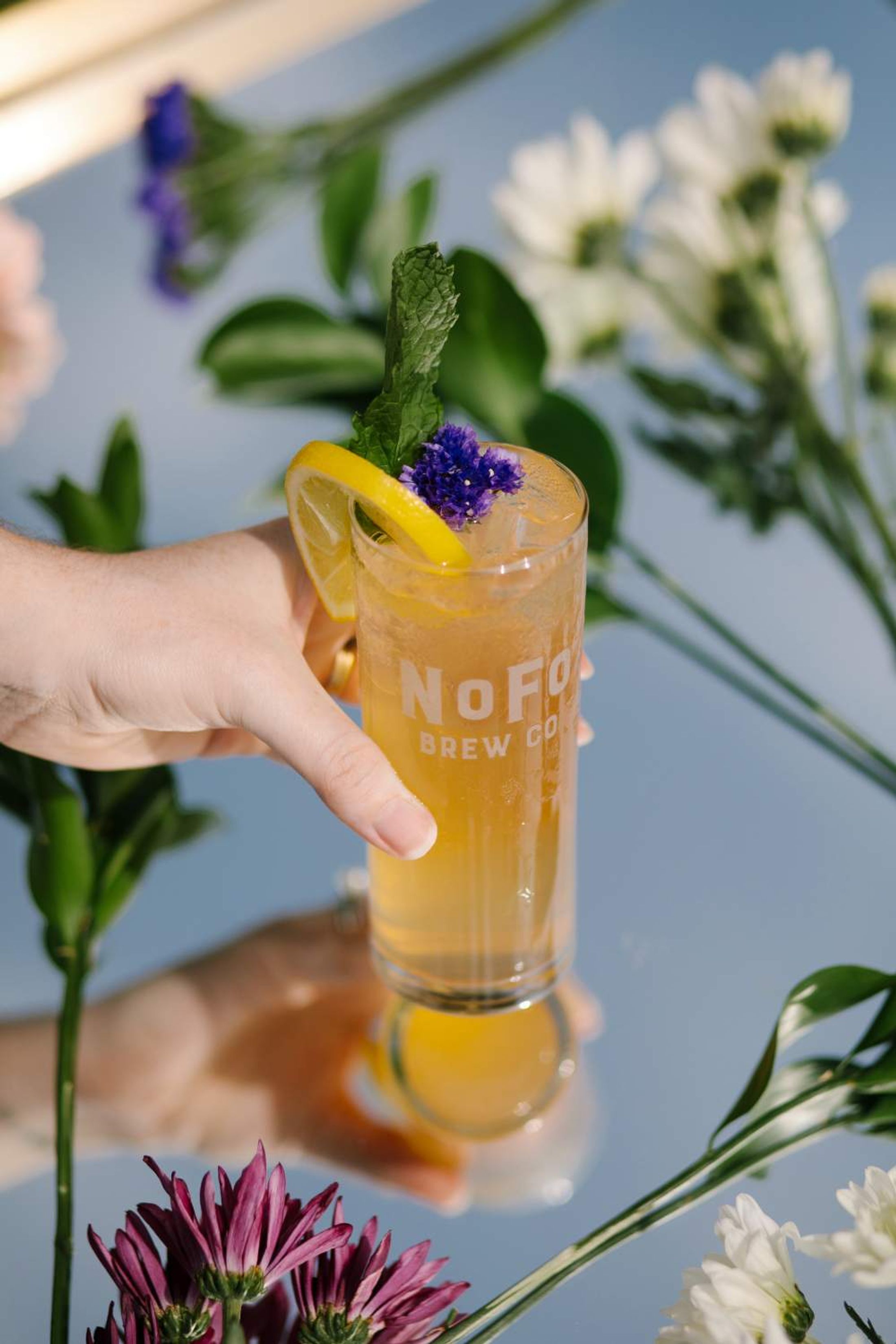 NoFo Brew Co