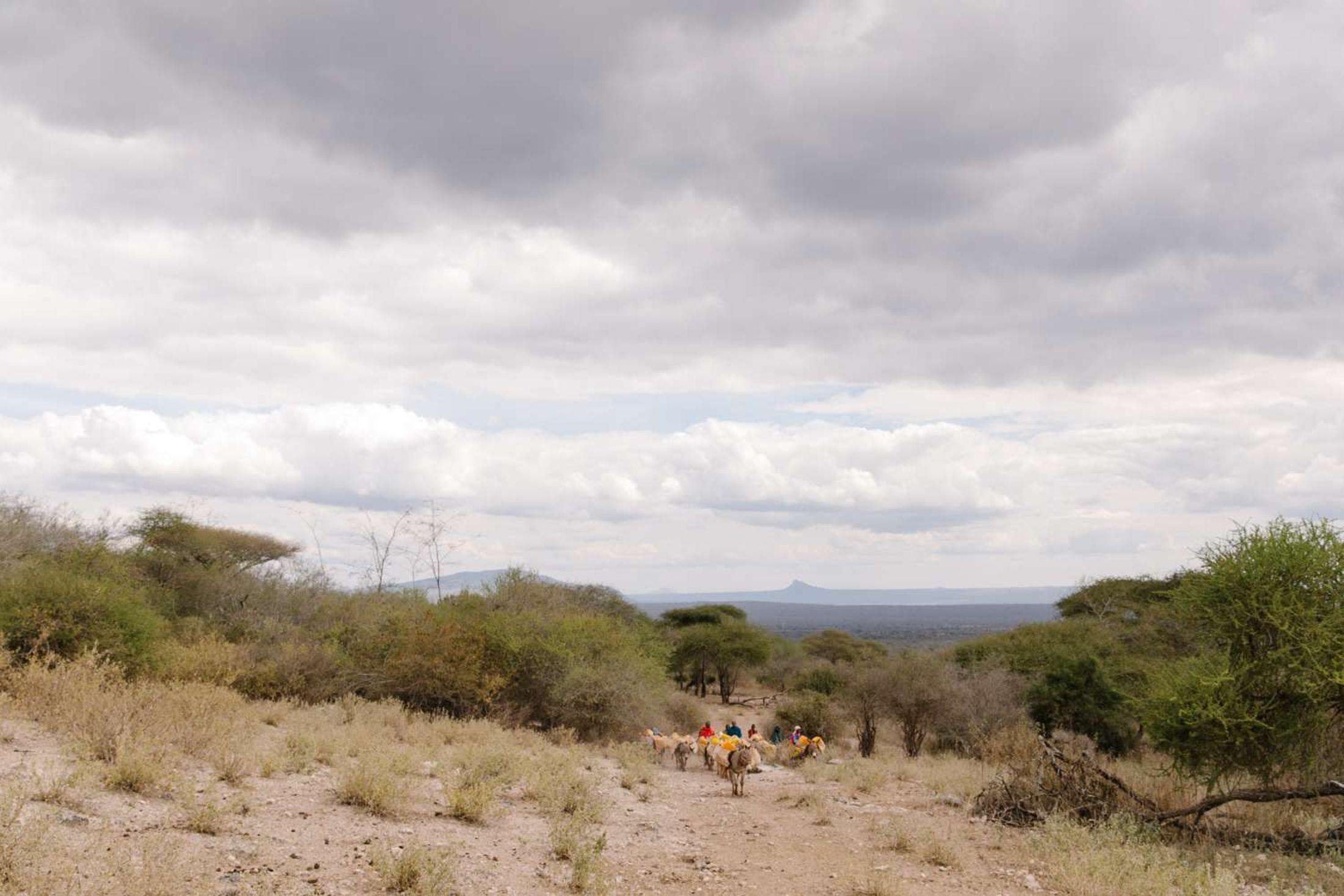 World Vision