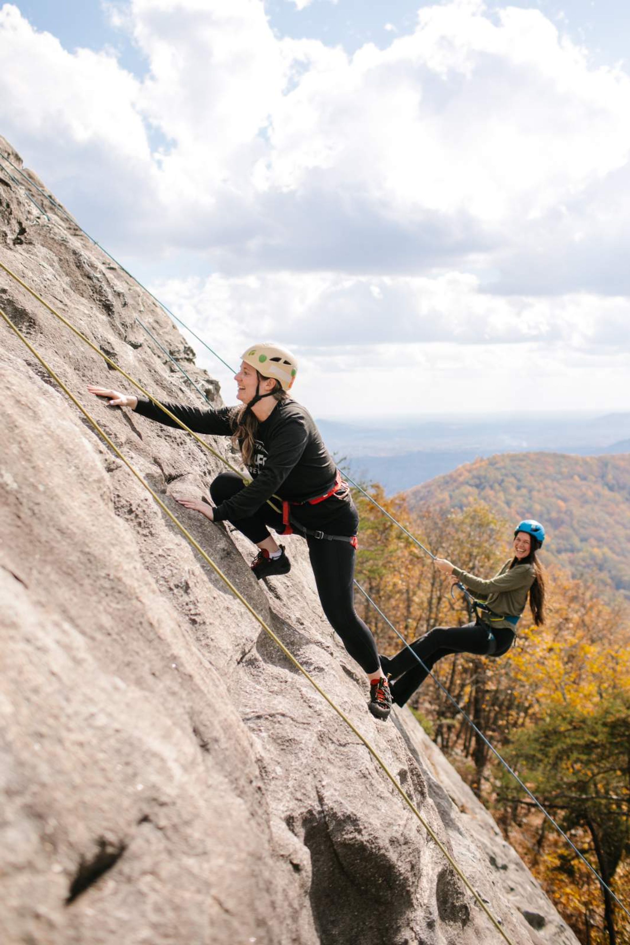 NoFo Brew Co – Tap Your Adventurous Side