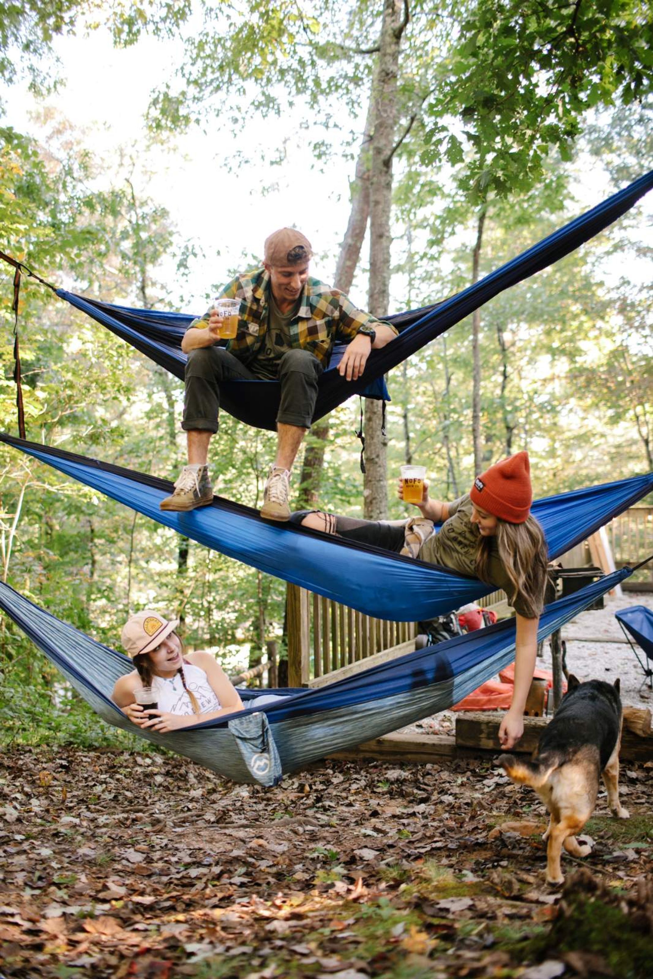 NoFo Brew Co – Tap Your Adventurous Side