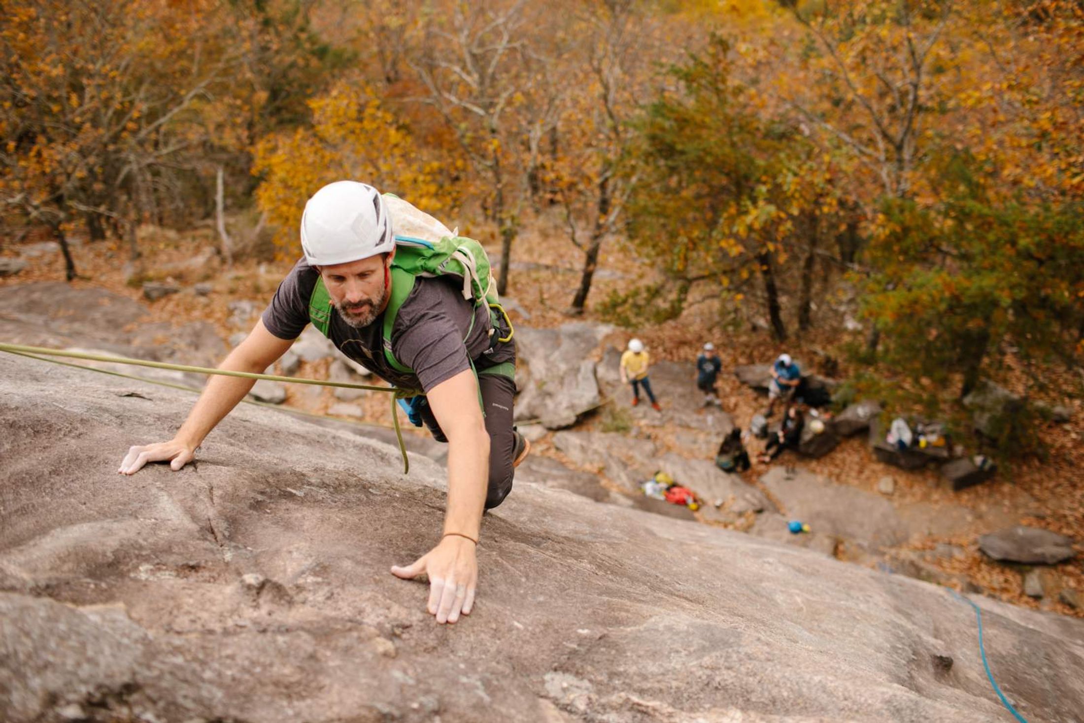 NoFo Brew Co – Tap Your Adventurous Side
