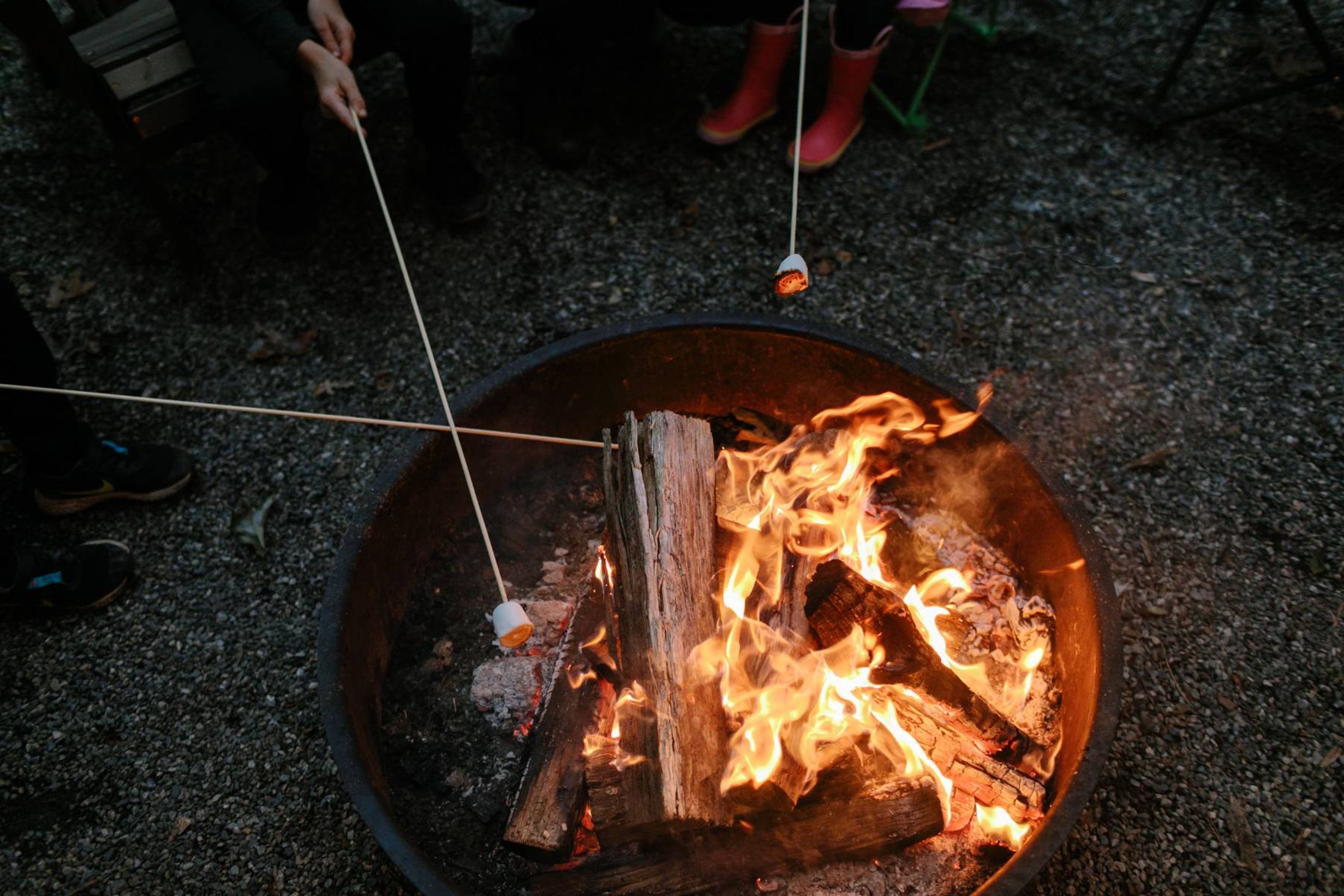 Timberline Glamping