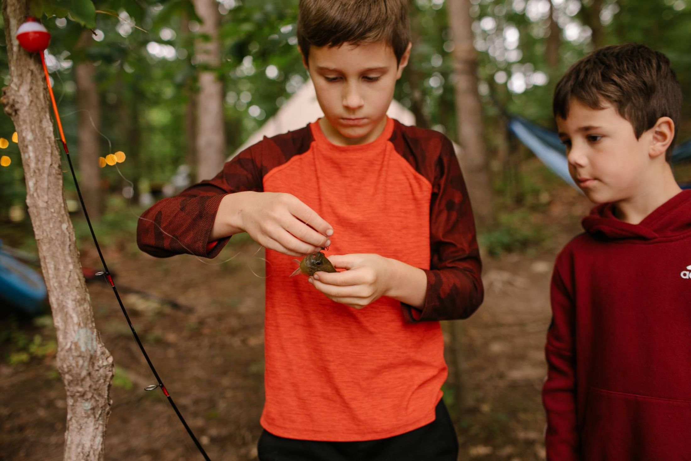 Timberline Glamping