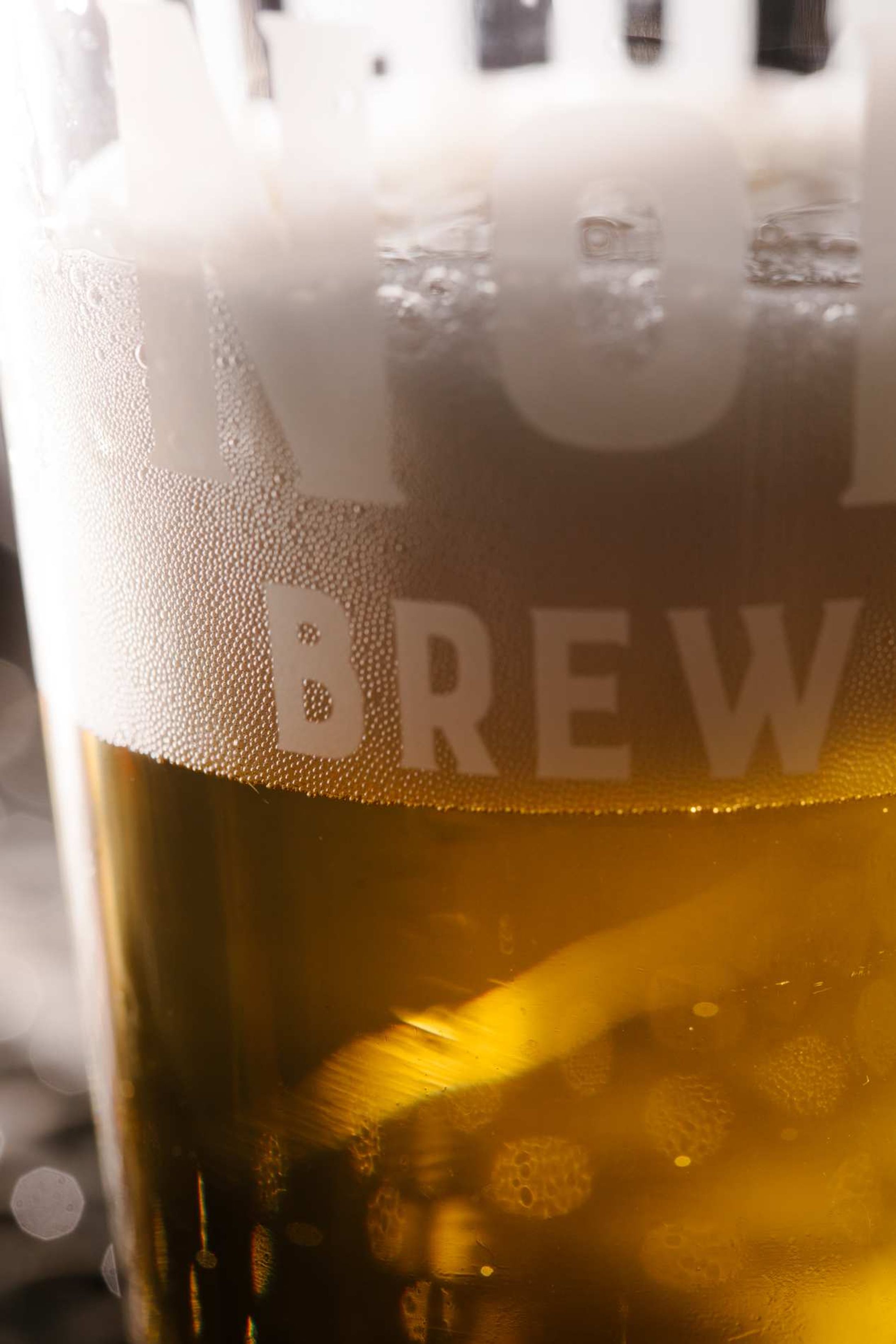 NoFo Brew Co