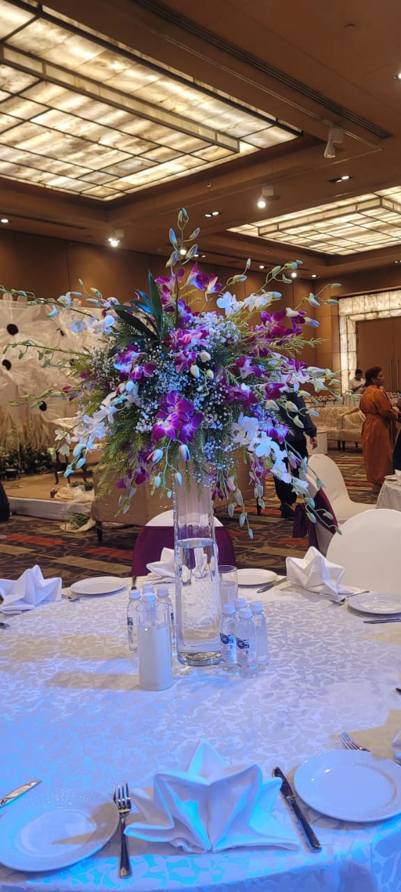 Gallery image 39