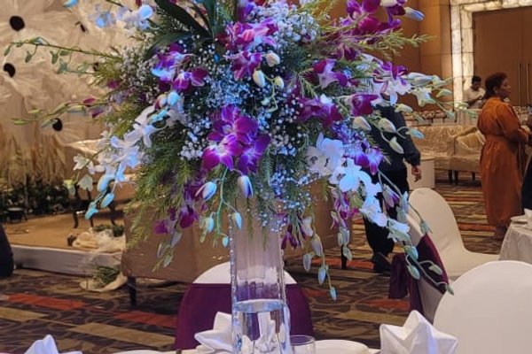 Gallery image 39