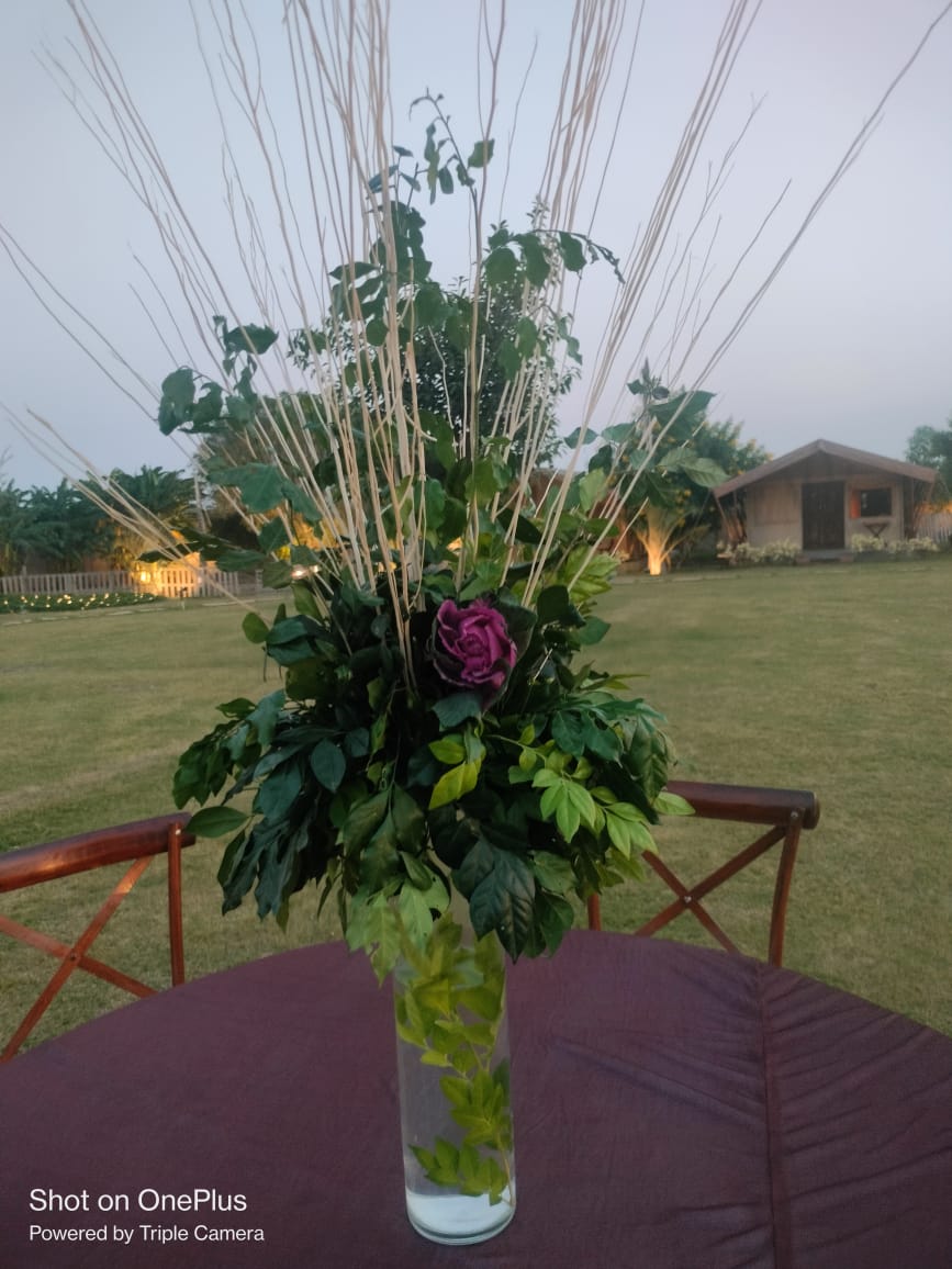 Gallery image 66