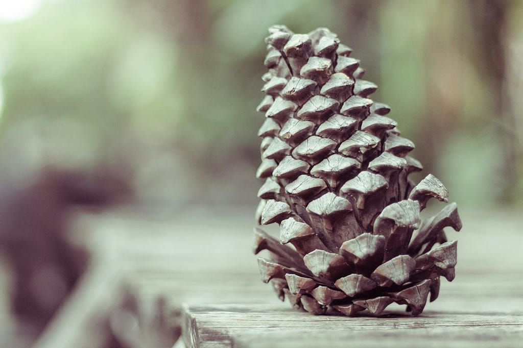 What are some practical use cases for the pinecone assistant?