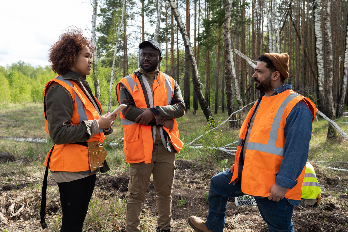 Environmental impact and assessment