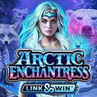 artic-enchantress