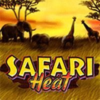 safari-heat-logo