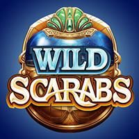 wild-scarabs