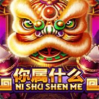 ni-shu-shen-me-logo