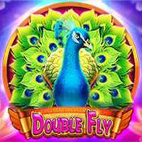 double-fly-logo