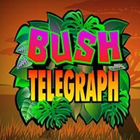 bush-telegraph