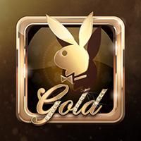 playboy-gold