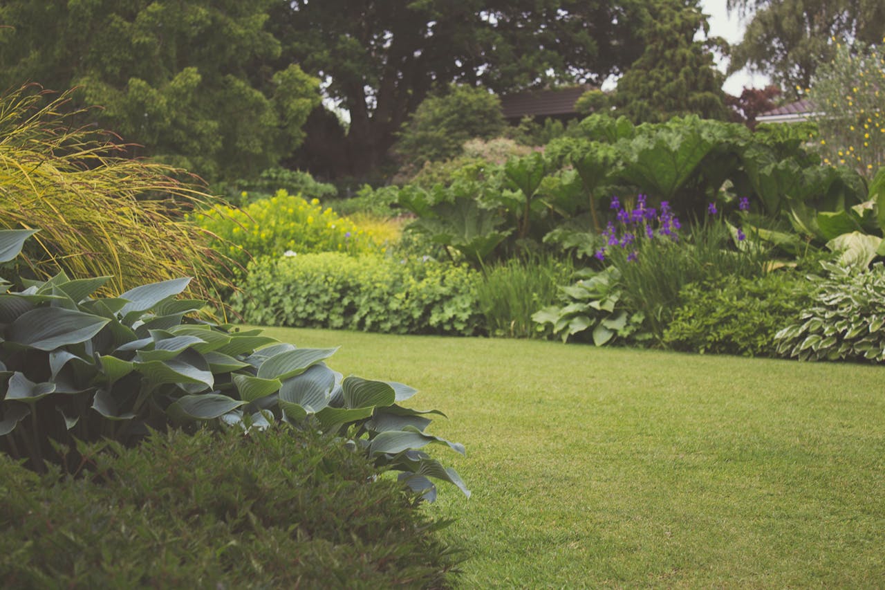 How Can I Create a Shared Garden in My Co-Living Space?