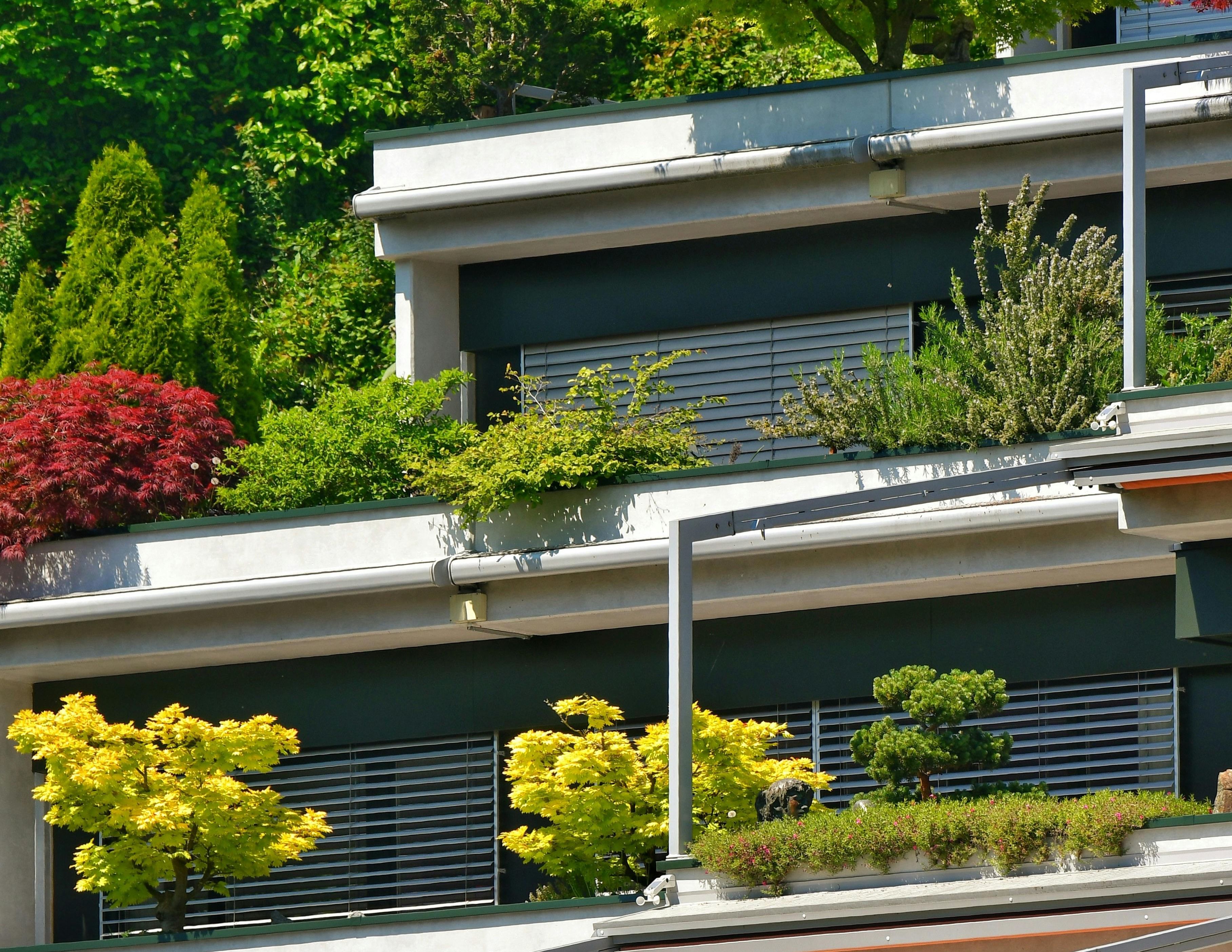 Smart Outdoor Design Tips for Compact Gardens and Courtyards