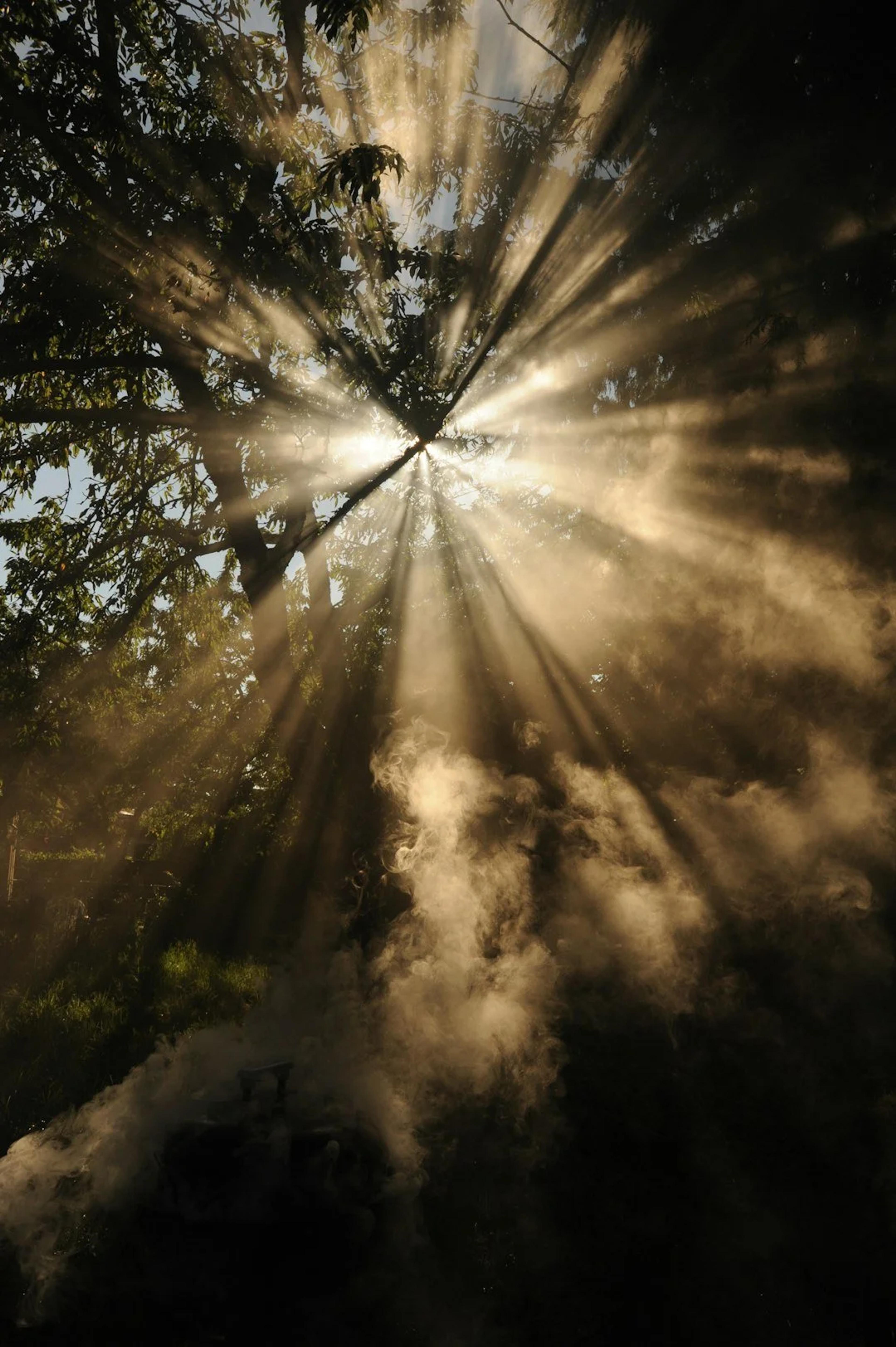 Article hero image: Trauma Series 3: Light Stream — UK Inkind psychology blog