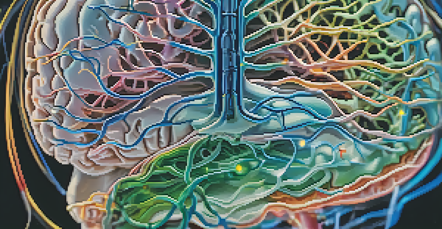 A detailed close-up of a colorful brain model highlighting neural pathways and connections.