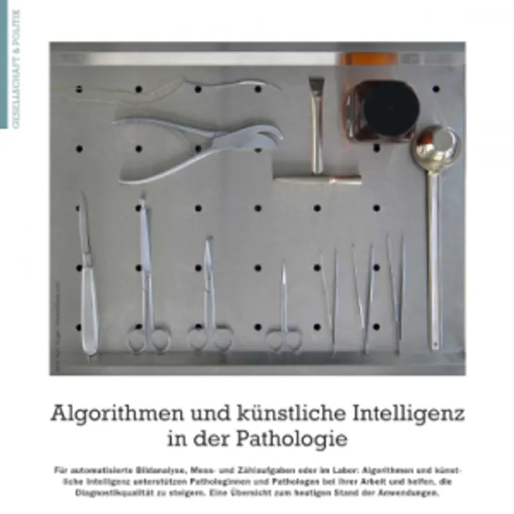 Algorithmen und künstliche Intelligenz in der Pathologie