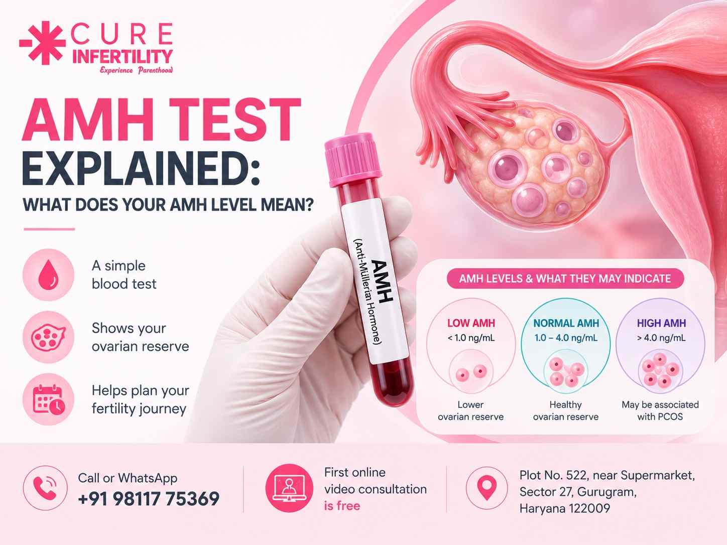 AMH Test Explained: What Does Your AMH Level Really Mean?