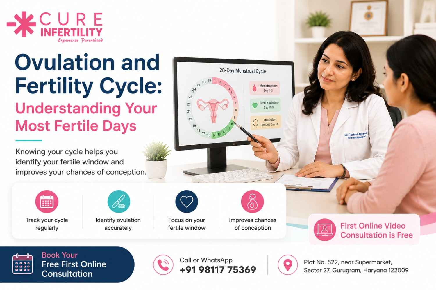 Ovulation and Fertility Cycle: Understanding Your Most Fertile Days
