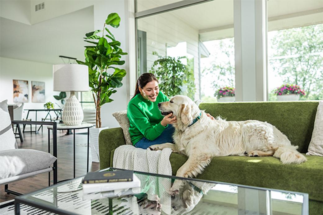 A woman in a green sweater sits on a green couch with her fluffy white dog. 