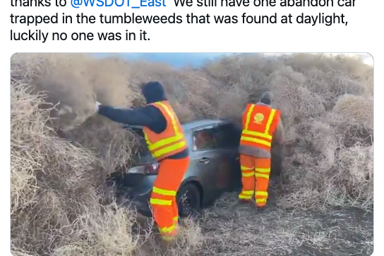 It's Tumbleweed Season!  image