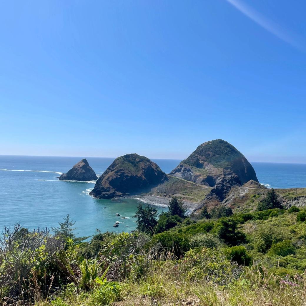 A view of large coastal rocks in the ocean, a trail in the distance, and lush green plants in the foreground.