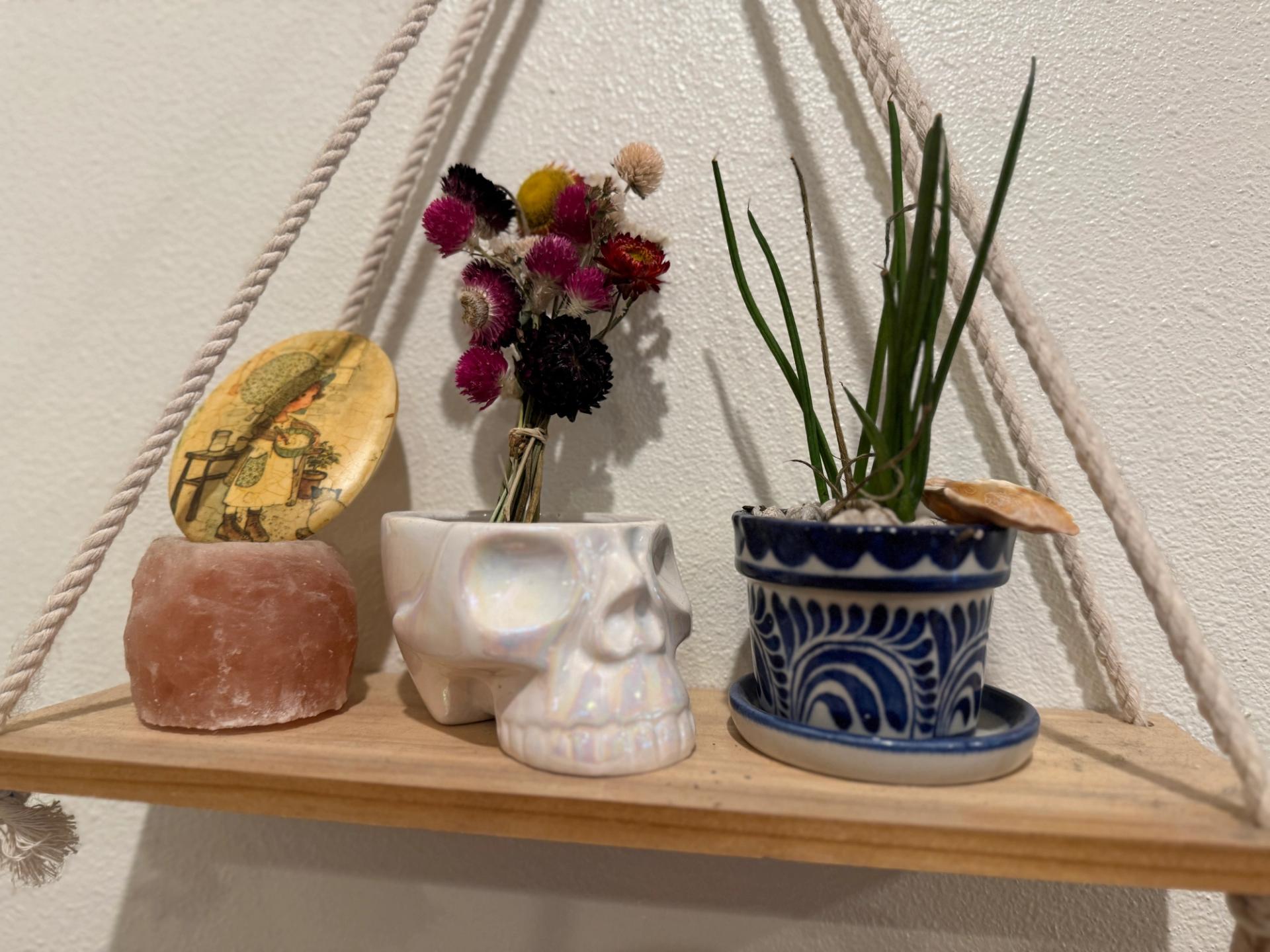 Dried flowers and a snake plant sit on a hanging shelf