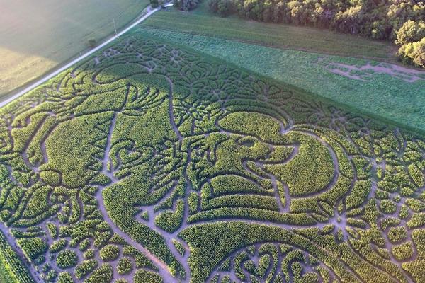 Crop Circle or Corn Maze? Either Way, You Need To See It. image