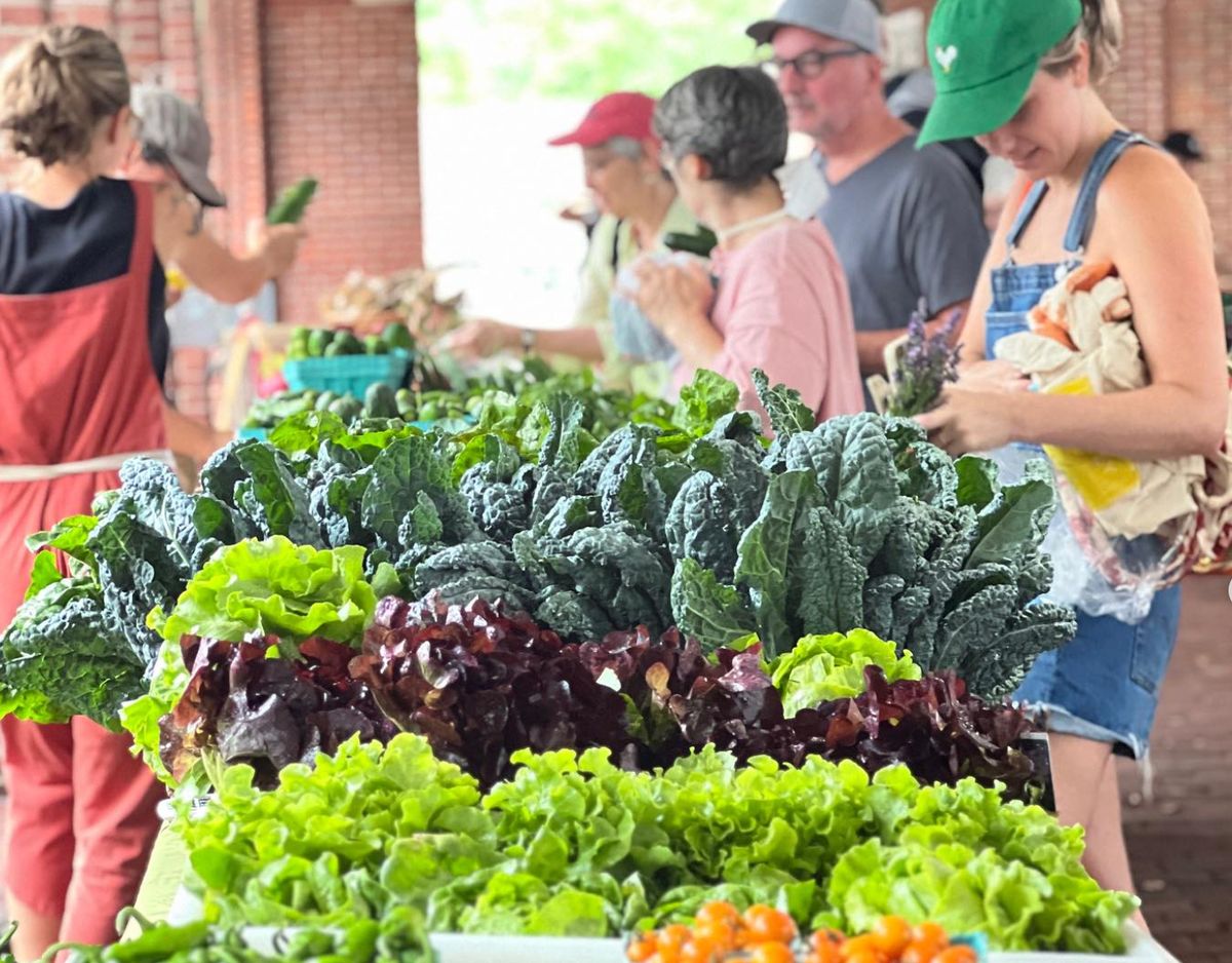 Best Farmers Markets in Philadelphia City Cast Philly