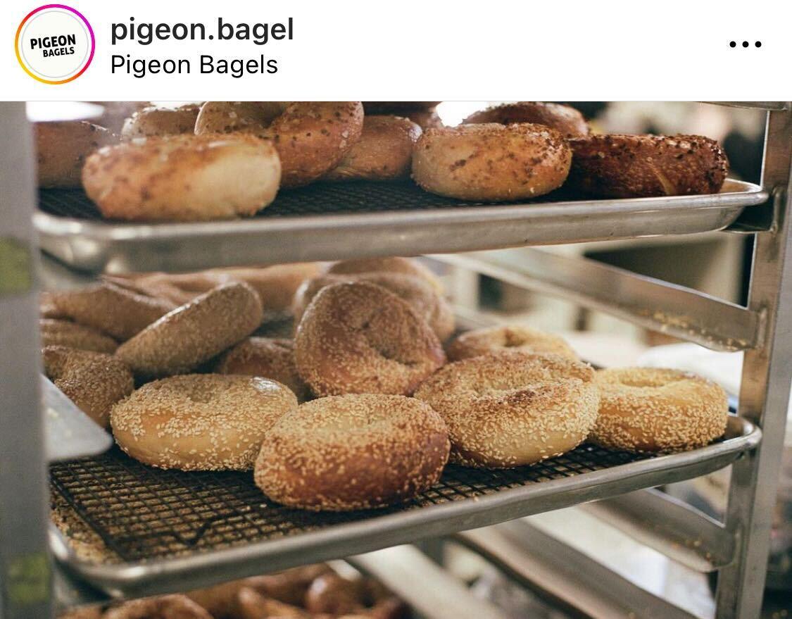 Squirrel Hill’s Pigeon Bagels