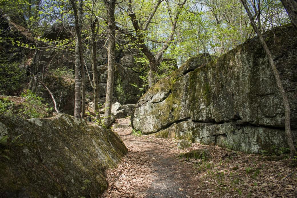 A trail leads through the trees with rock walls on either side of it.