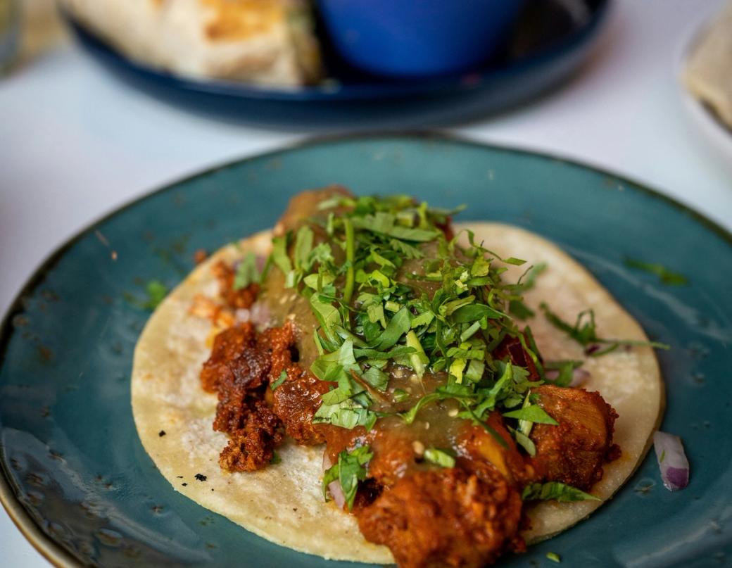 An al pastor taco with green cilantro on top sits on a teal plate with an out of focus array of plated food behind it