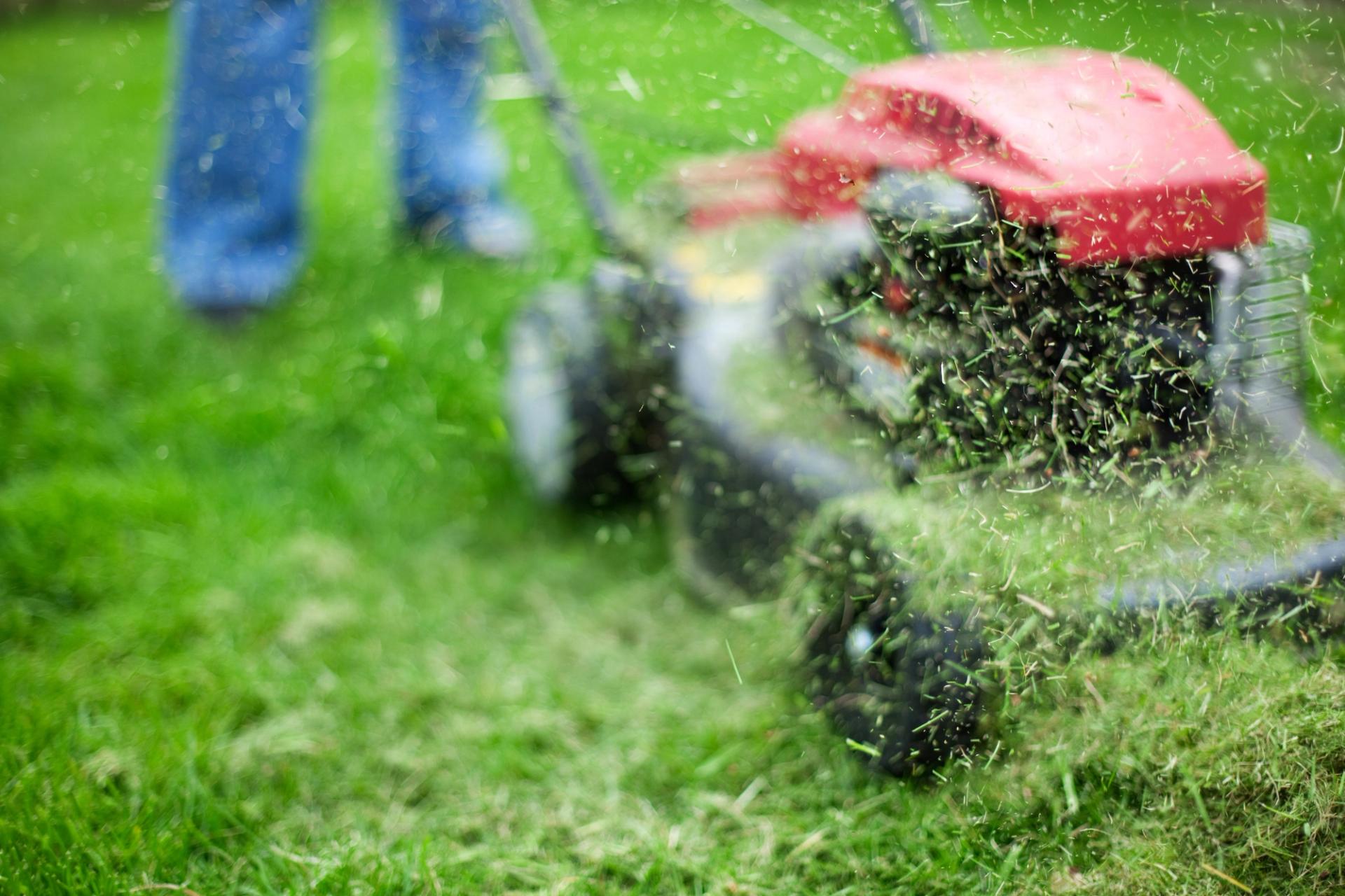 lawn mower cutting grass