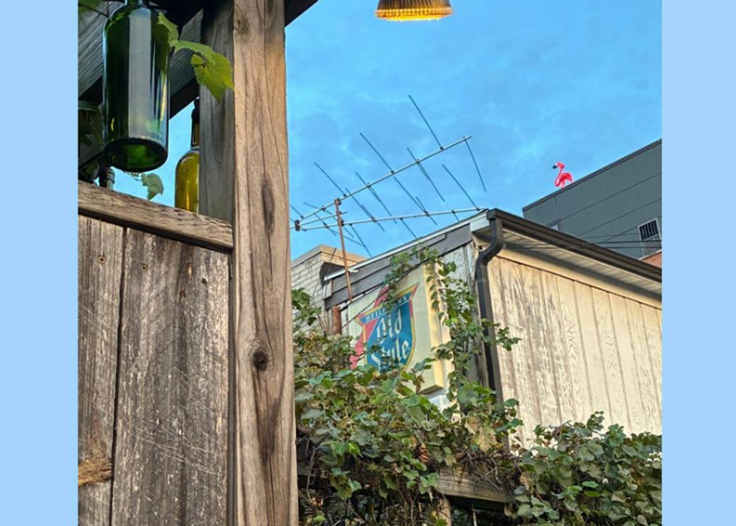 Two wooden buildings underneath a partially-cloudy blue sky. One building is covered in a green bush. Another buildings painted yellow. On the yellow building, there is a yellow sign with a blue and red crest. The crest reads “Old Style”.