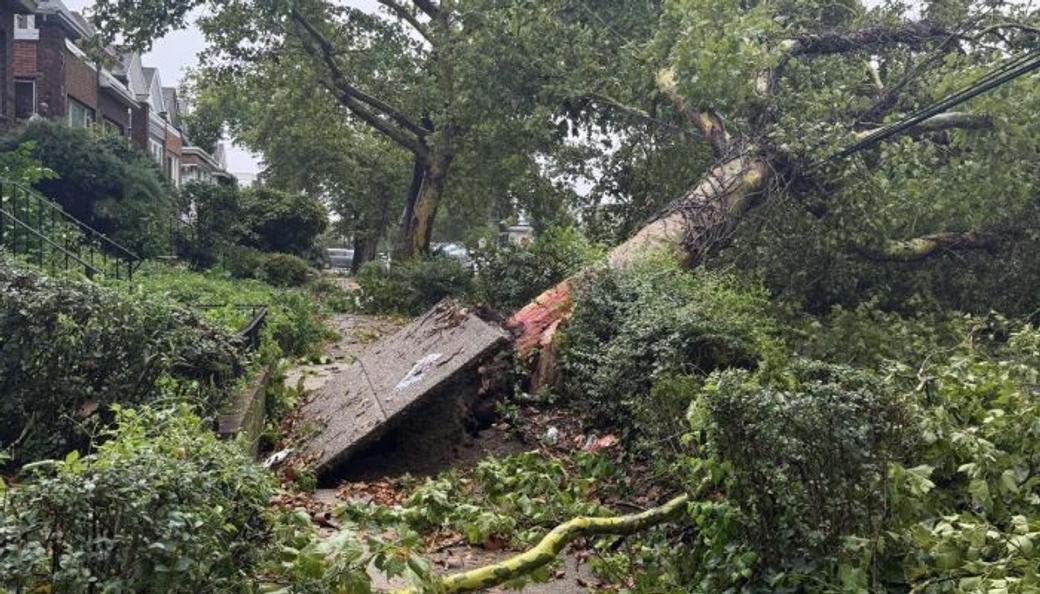 A fallen tree pushes up the concrete sidewalk. Tree branches and debris line the residential street in Philadelphia, with a grey sky backdrop.