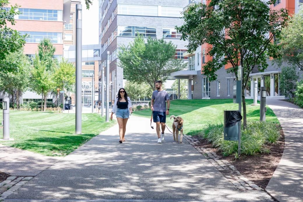 A couple walk with their dog between two apartment buildings.