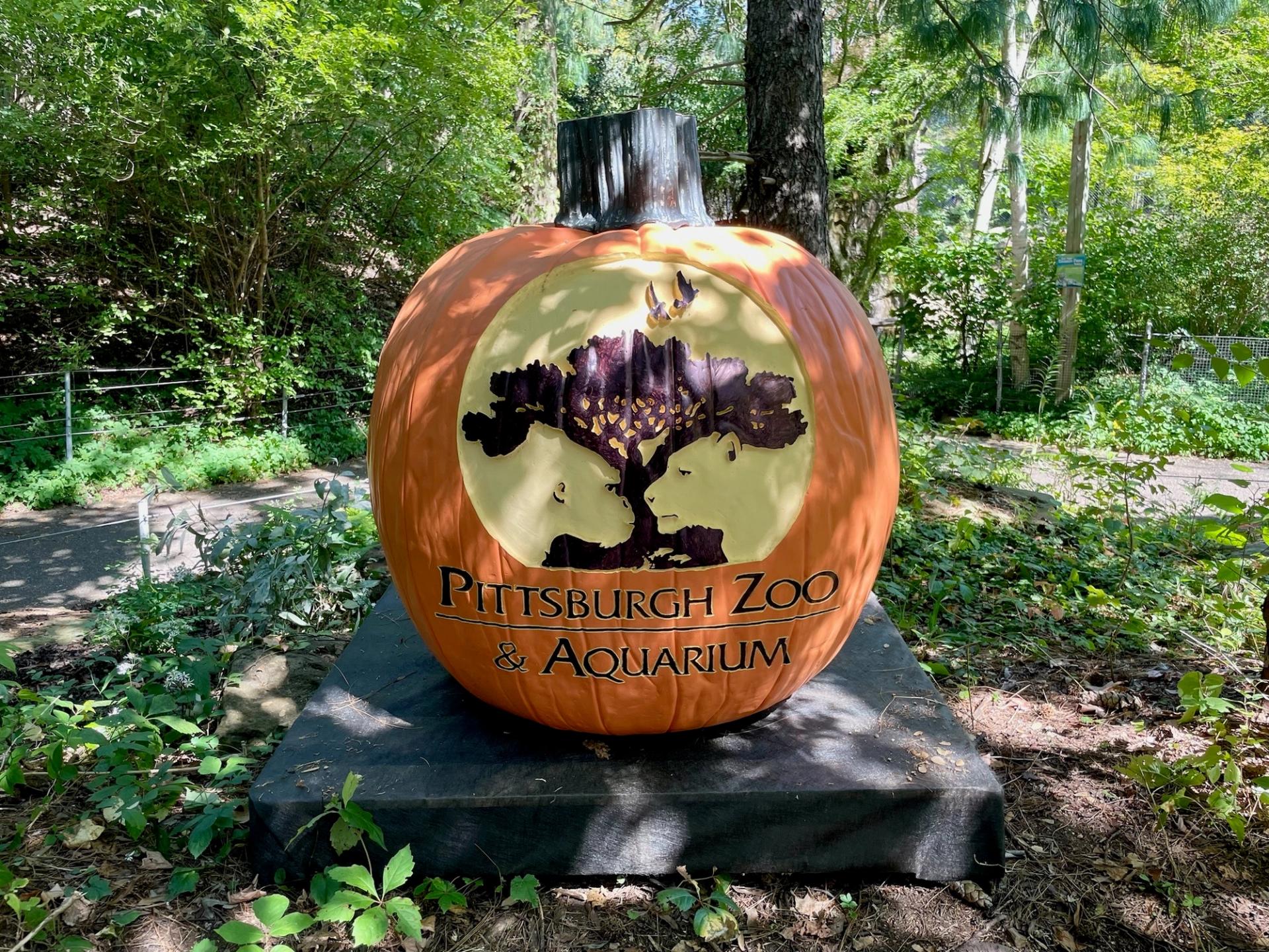 a large pumpkin carved with the Pittsburgh zoo tree logo and the words "Pittsburgh zoo & Aquarium"