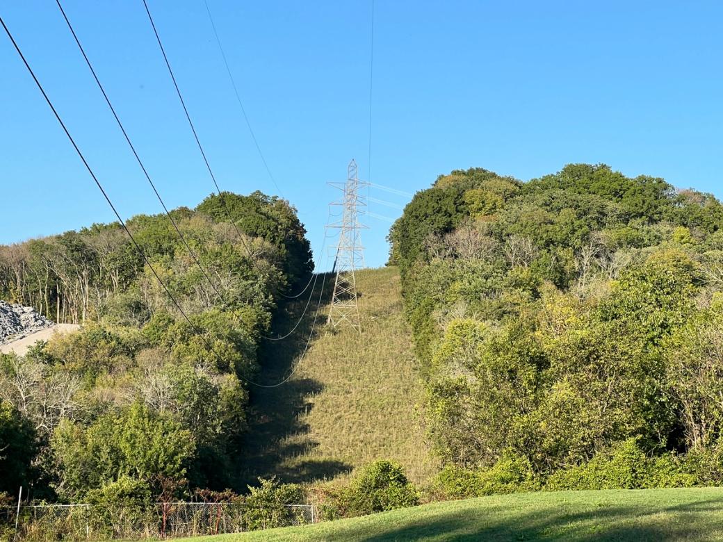 A forested hill with a path cut down where large electrical polls are.