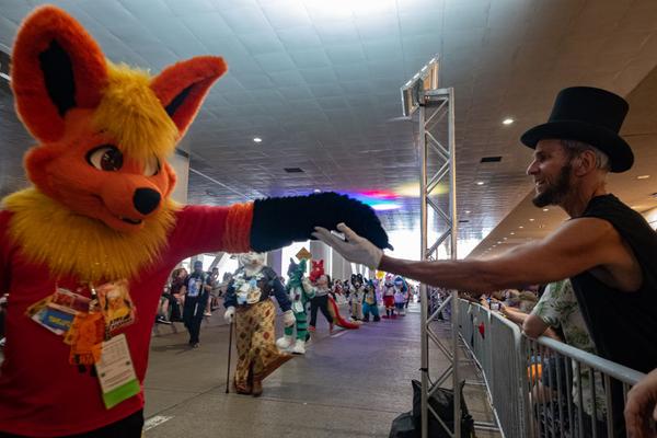 5 Ways Pittsburgh Can Support Its Furry Friends This Weekend image