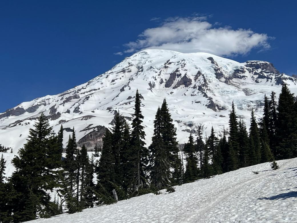 An image from below of Mount Rainier/Tahoma in 2022, covered in snow